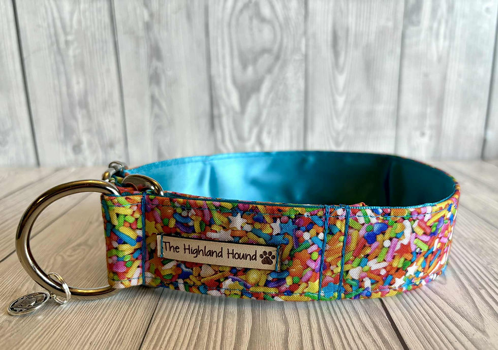 Thumbnail: Sprinkles 1.5" Collar Fishtail Martingale