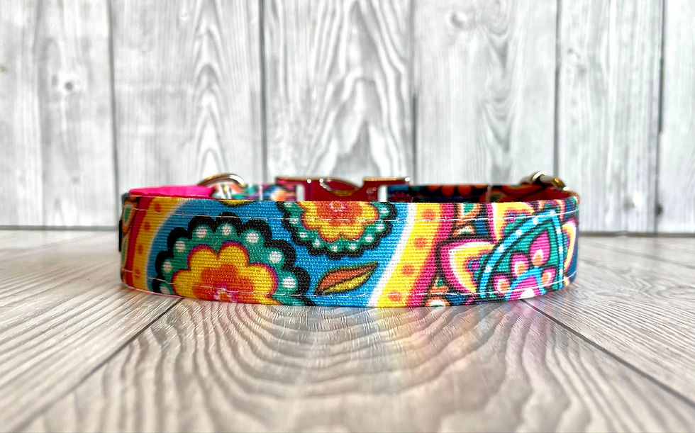 Thumbnail: Ella 3/4" Collar