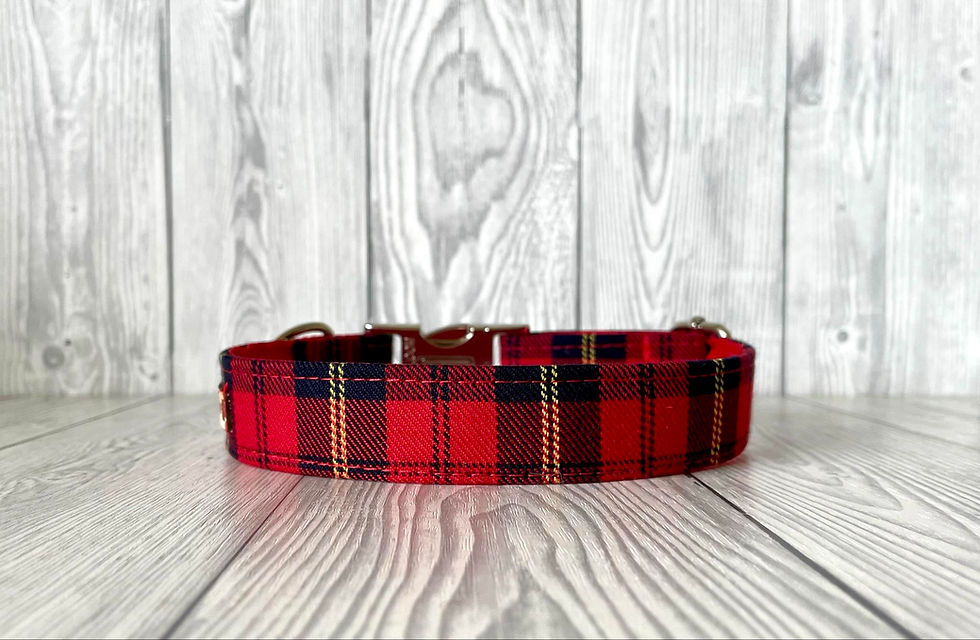 Thumbnail: Alasdair 3/4" Collar