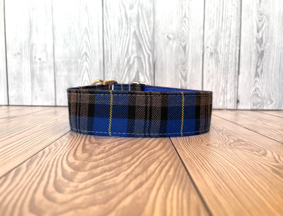 Thumbnail: Callum 1.5" Collar Fishtail Martingale