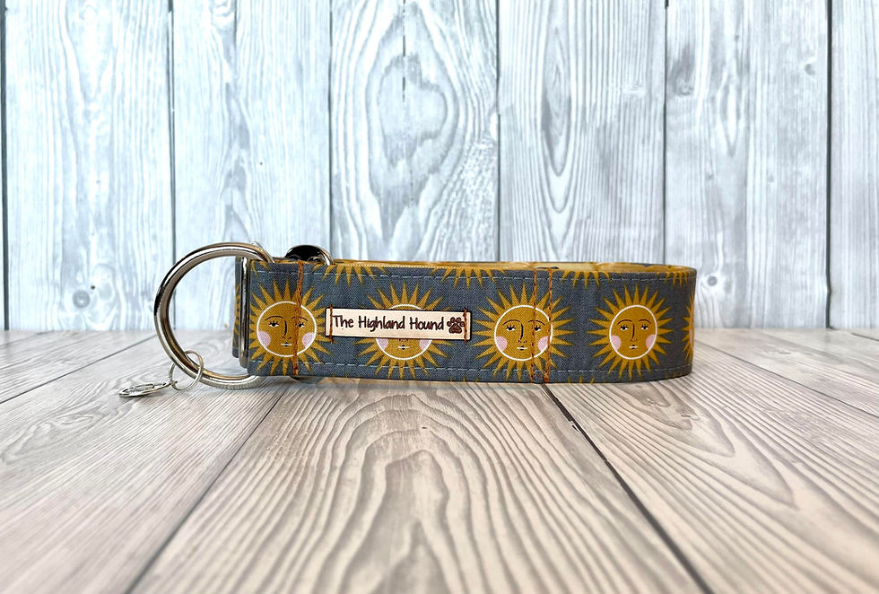 Thumbnail: Helios Collar