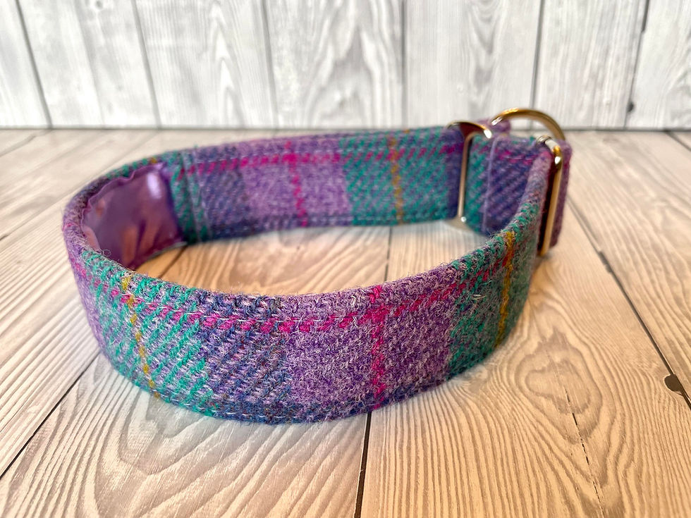 Thumbnail: Summer Isles 2" Collar Fishtail Martingale