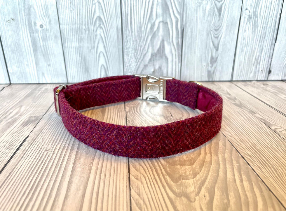 Thumbnail: Frosted Berry 3/4" Collar