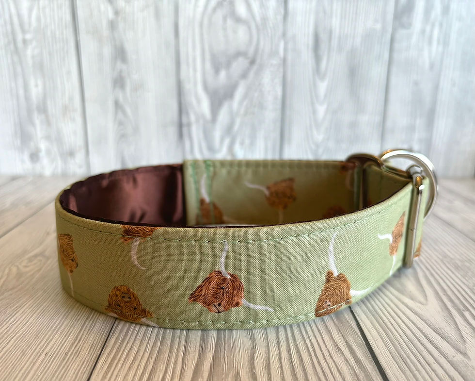 Thumbnail: New Highland Coo 1.5" Collar Fishtail Martingale