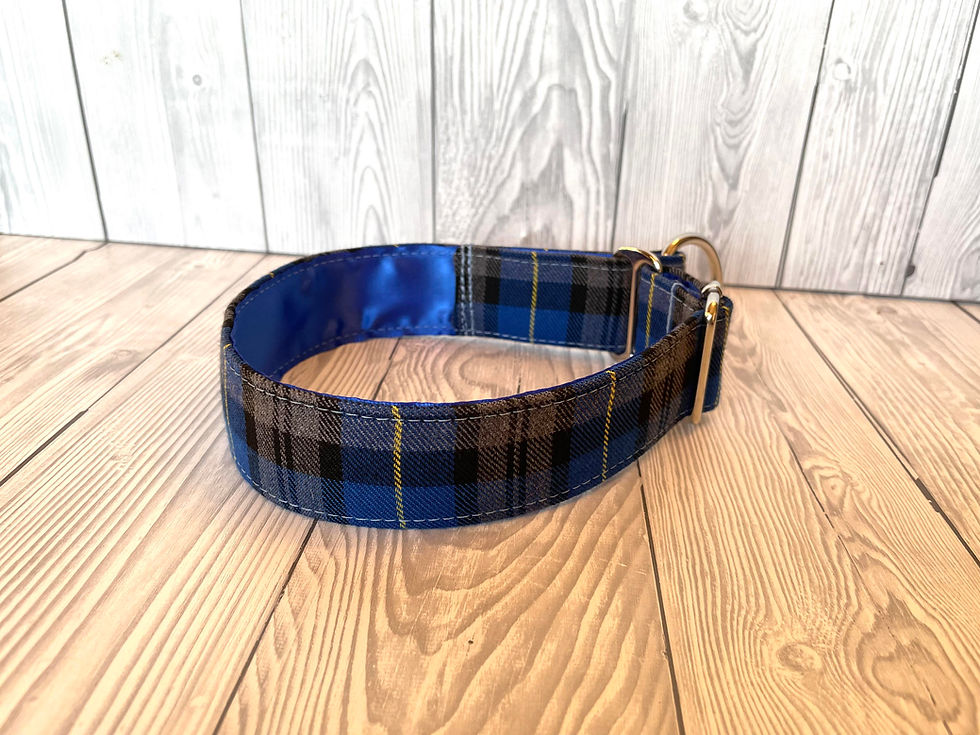Thumbnail: Callum 1.5" Collar Fishtail Martingale