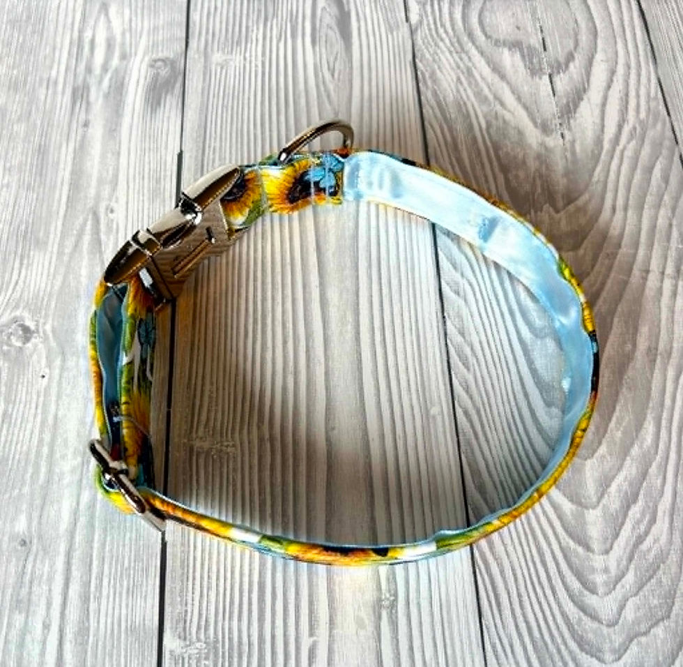 Thumbnail: Honey Meadow 1" Collar