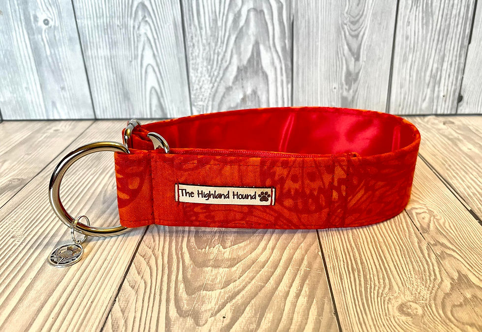 Thumbnail: Winged Creatures 1.5" Collar Fishtail Martingale