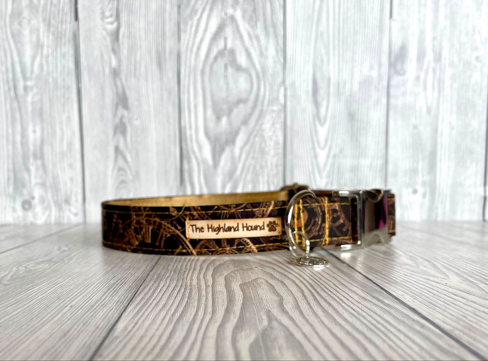 Steampunk Clocks 3/4" Collar