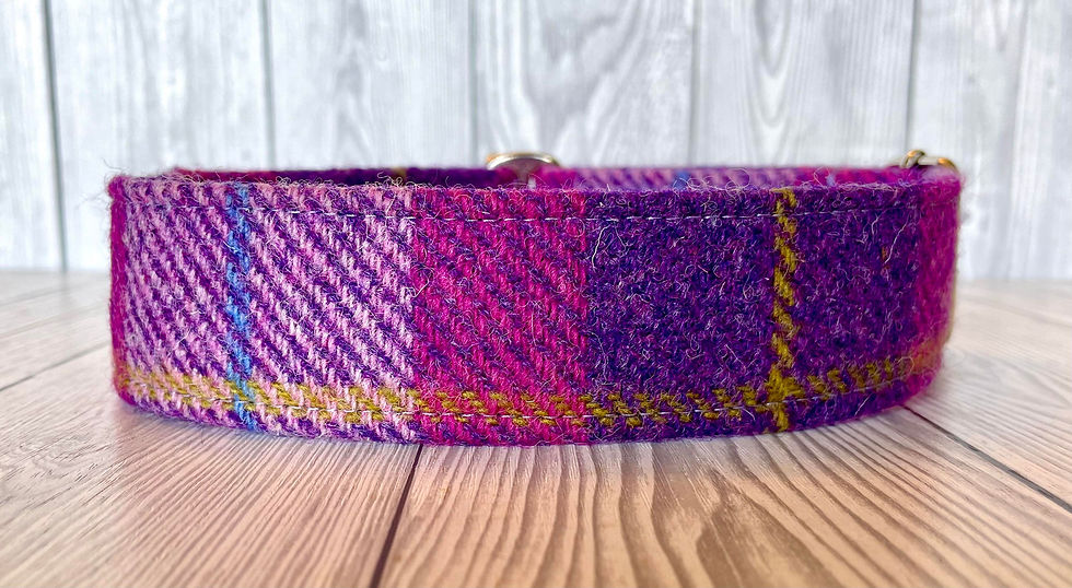 Thumbnail: Peony 2" Collar Fishtail Martingale