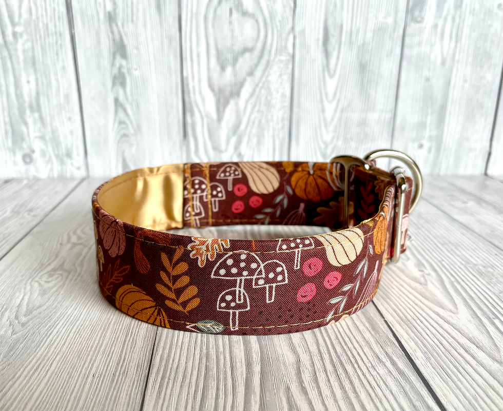 Thumbnail: Pumpkin Spice 1.5" Collar Fishtail Martingale