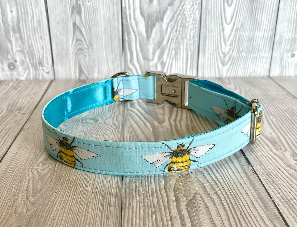 Thumbnail: To Bee Or Not To Bee 1" Collar