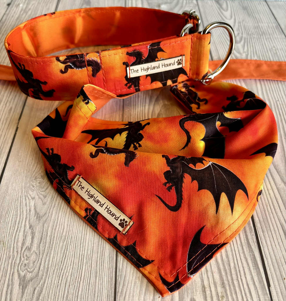 Thumbnail: Dragon Song Bandana