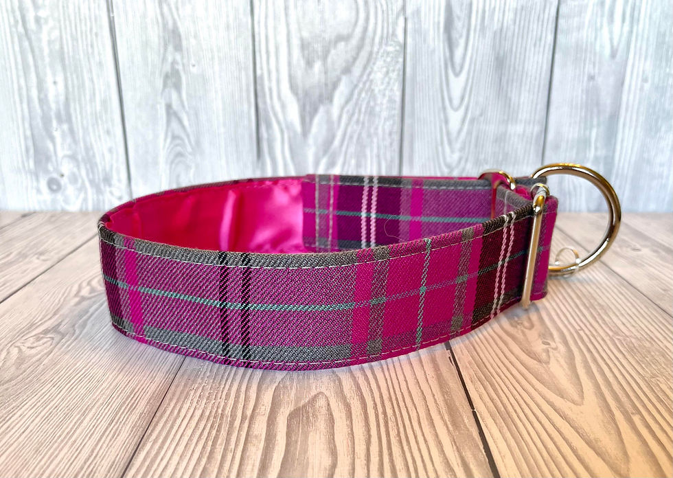 Thumbnail: Raspberry Tartan 1.5" Collar Fishtail Martingale