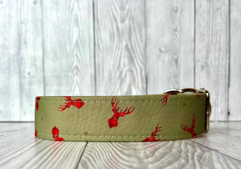 Thumbnail: Stag Of The Glen 2" Collar Fishtail Martingale