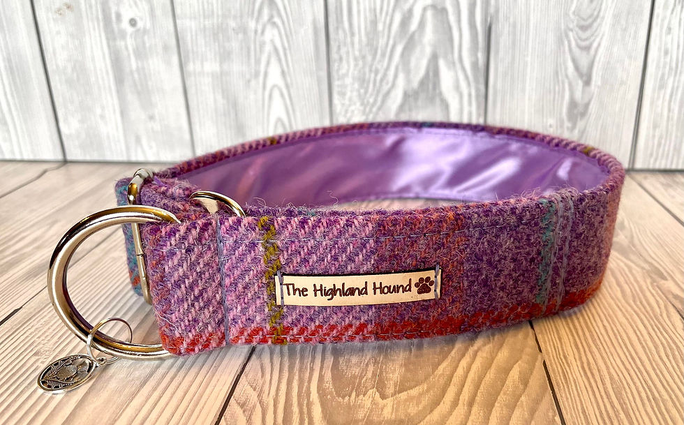 Thumbnail: Harmony 2" Collar Fishtail Martingale