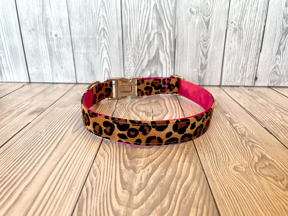 Thumbnail: Jungle 1" Collar