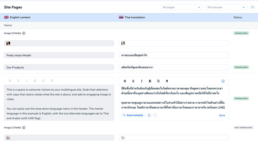 Example of WIX Multilingual translation tools