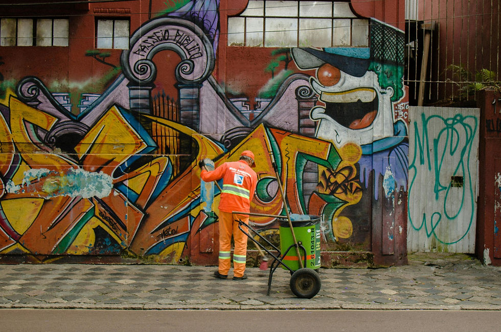 GRAFFITI REMOVAL