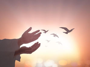 Immaculate Lawmaking: The Foundation of Peace and Harmony