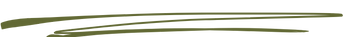 Untitled design (82).png