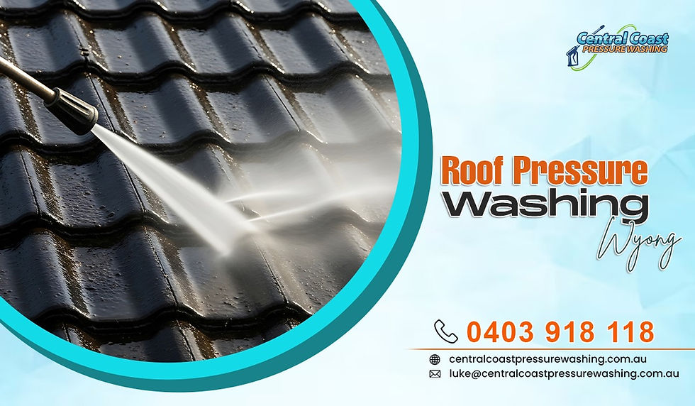 Roof pressure washing service