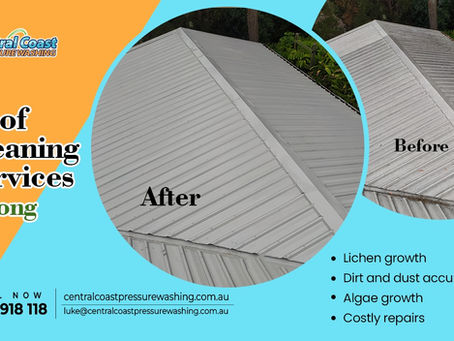 Roof Cleaning Services