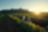 Diseno-sin-titulo-2024-03-22T082944.712.png