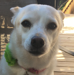 Screenshot Phoebe.gif