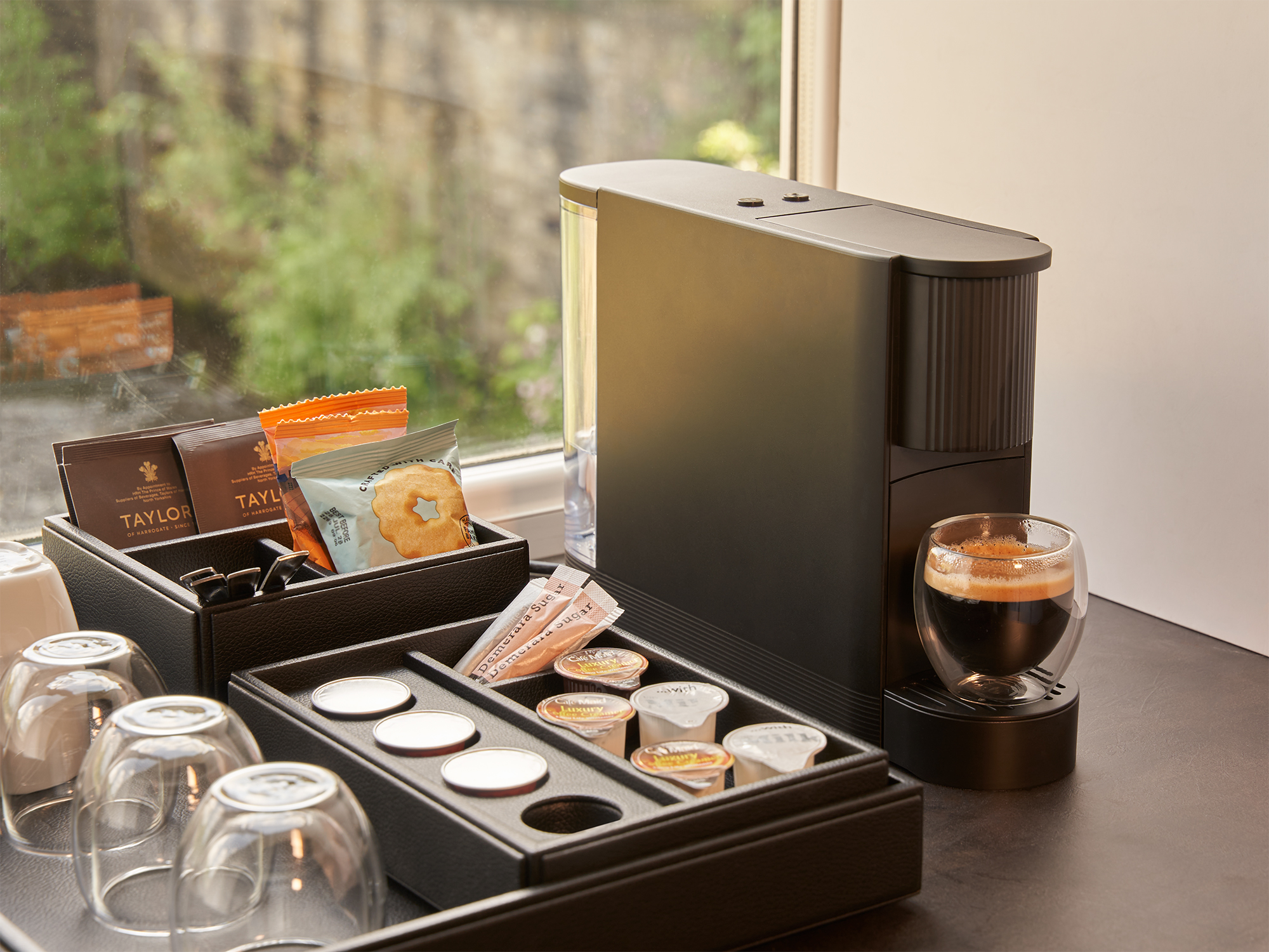 Lollo Caffé - Terra view 5
