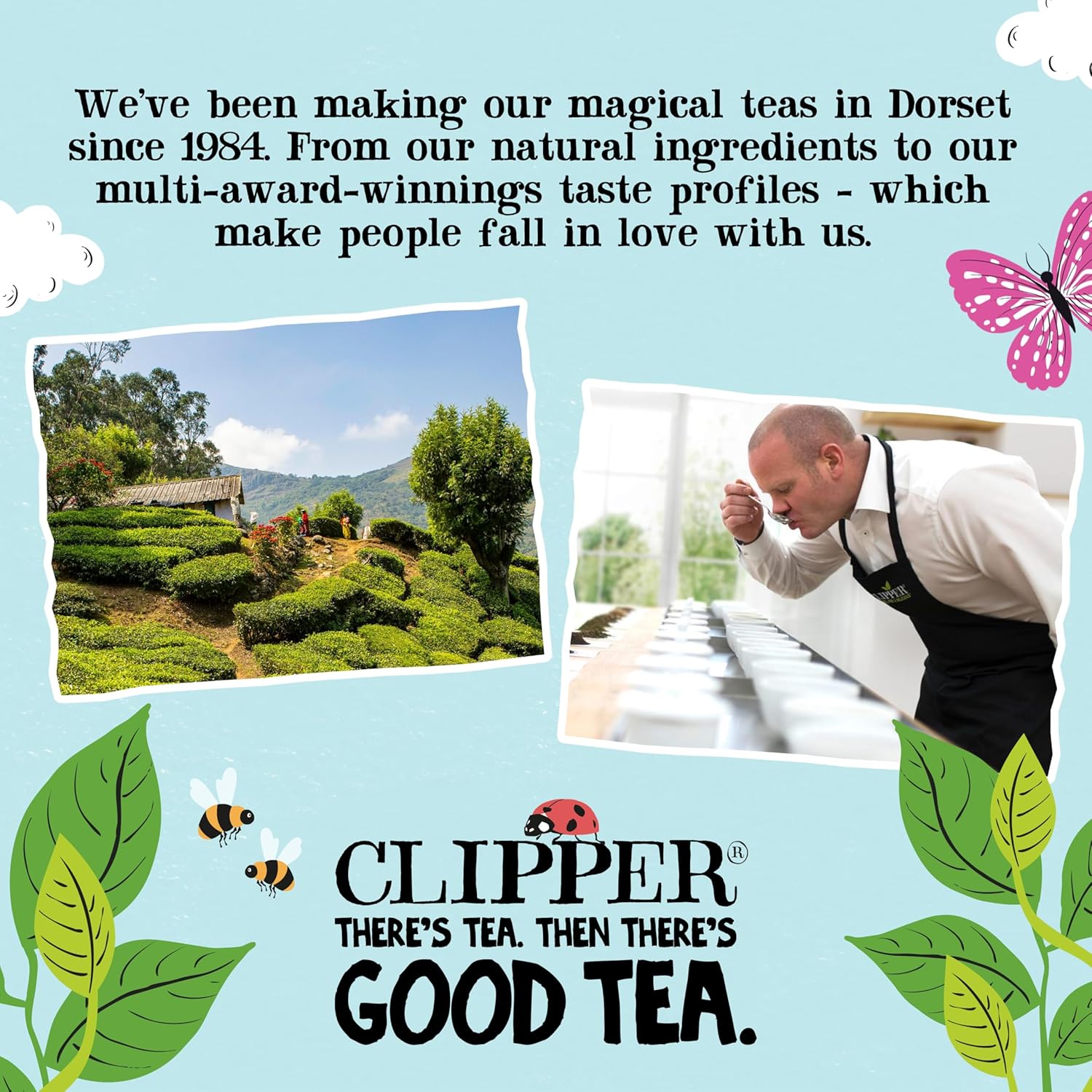 Clipper Chamomile Tea view 7