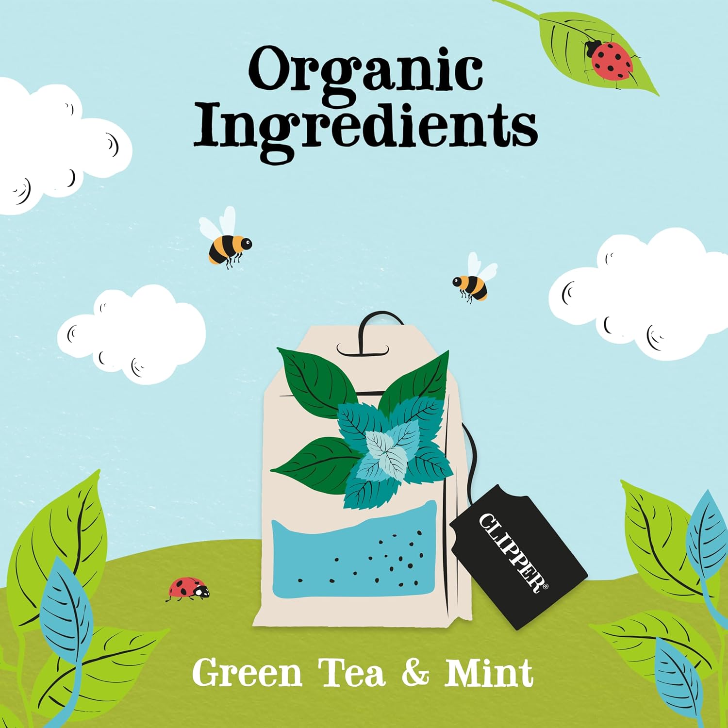 Clipper Green Tea view 3