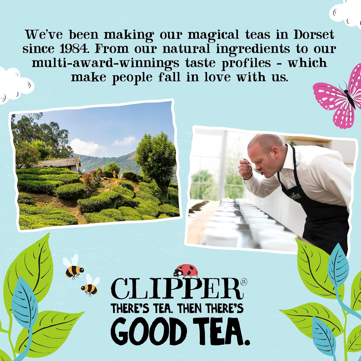 Clipper Green Tea view 8