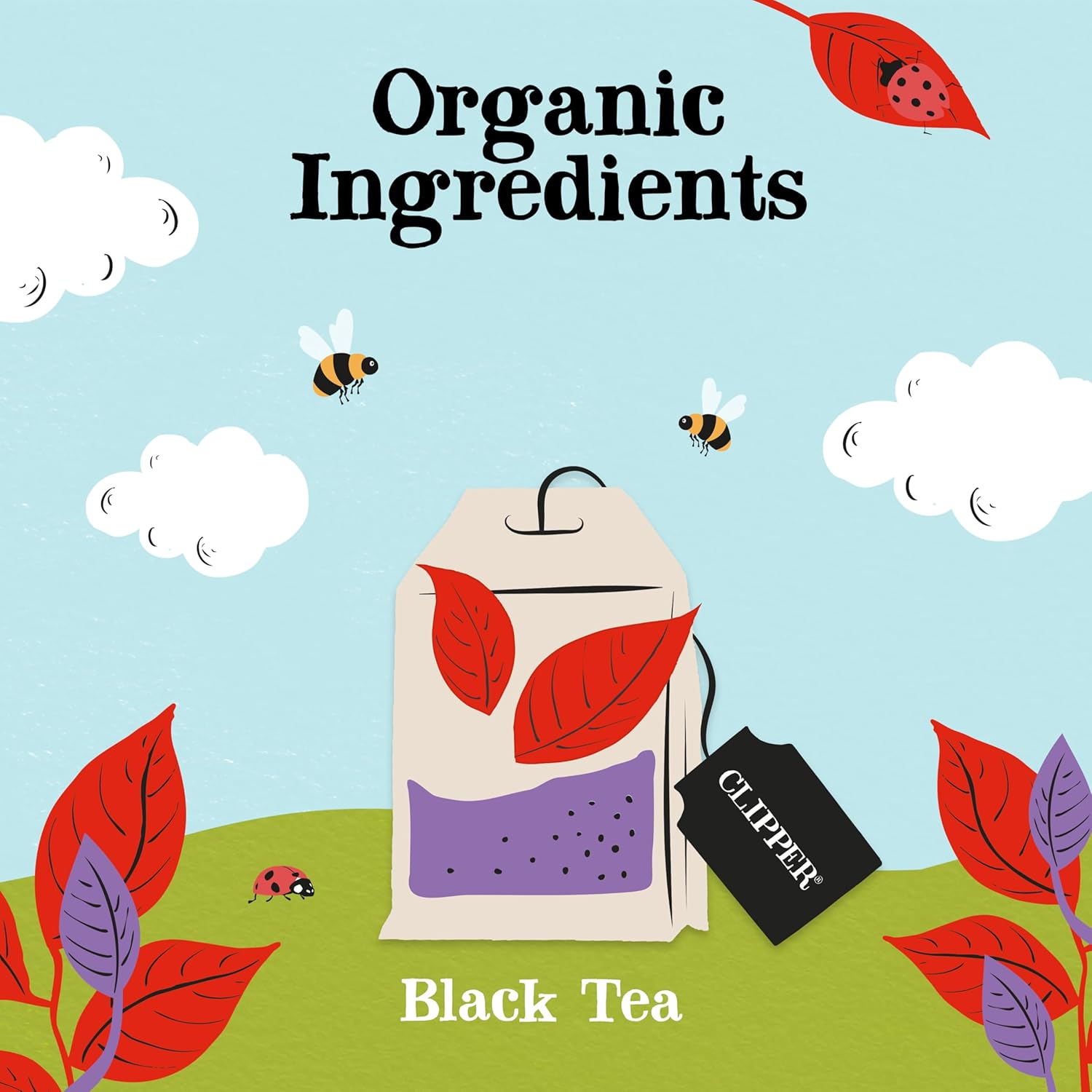 Clipper English Breakfast Tea view 3