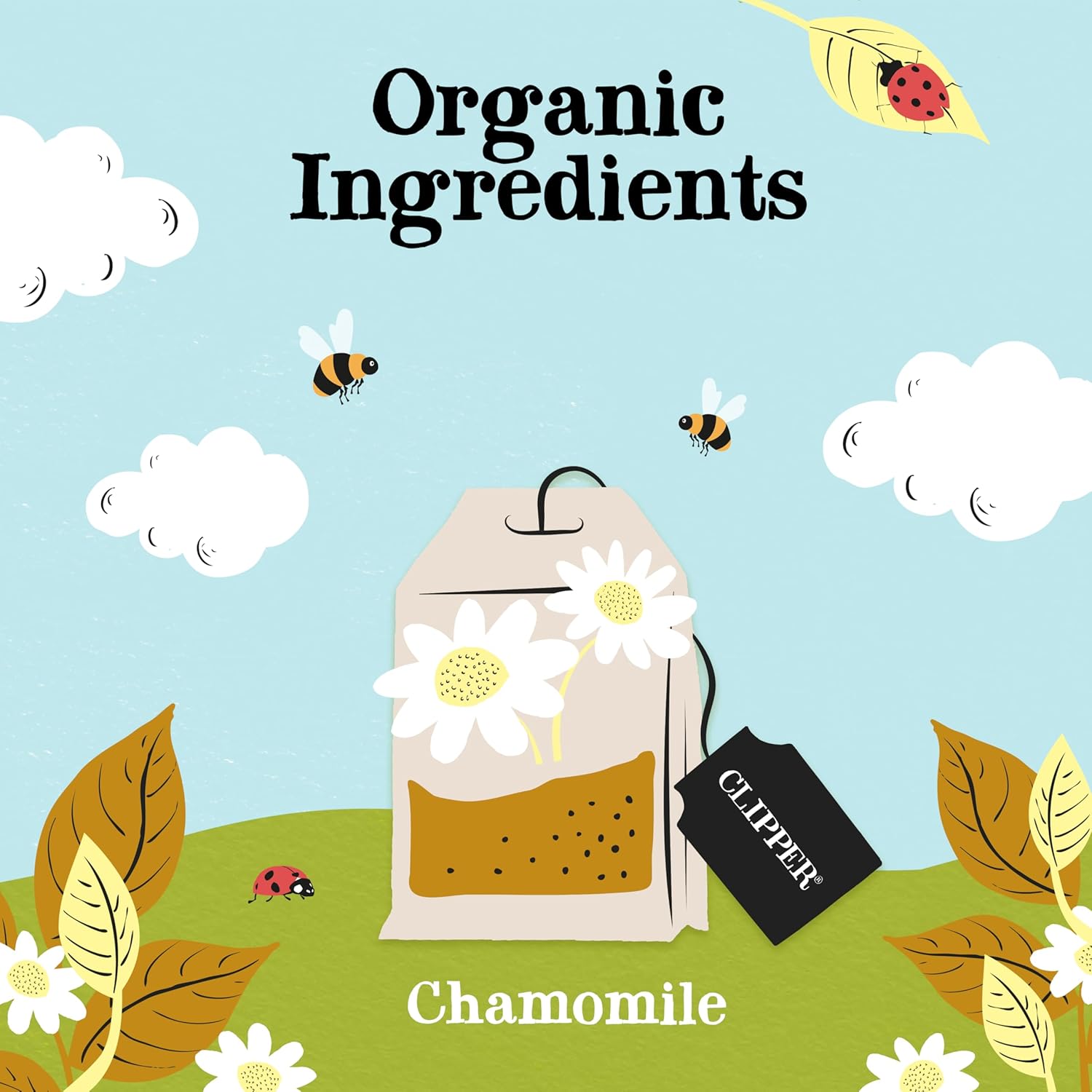 Clipper Chamomile Tea view 3