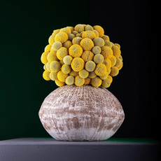 LFS  Digital Imagery