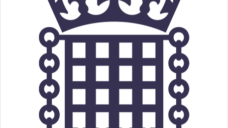 Drs Colloff and Flowe provide expertise to UK Parliament