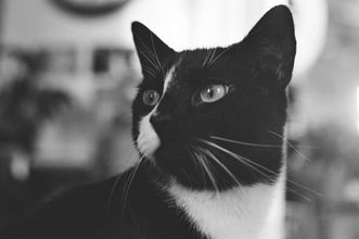 IMG_1480.JPG
