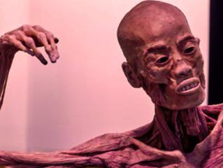 Hambre de carne