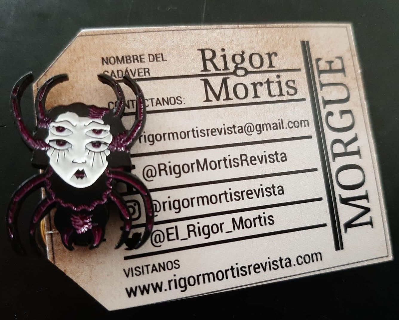 Pin Metálico de Chica Araña