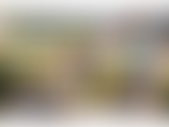 留守中の防犯対策｜旅行や帰省の前に確認したいポイント