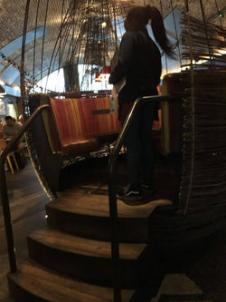 13643828_10206796489292336_194958381_n