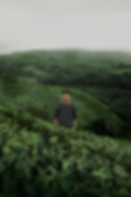 Man standing in a lush green tea photography portfolio plantation