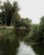 Auto rickshaw on a bridge in a tropical photography portfolio.