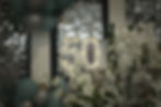 Light-up number 50 marquee from a photography portfolio