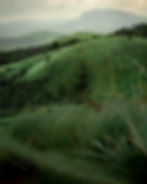 Lush green rolling hills in a photography portfolio.