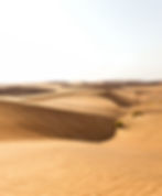 Sand dunes in a photography portfolio landscape.