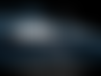 The Word Speaks Bible Study Book!