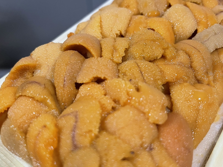 12/18  本日のおすすめ