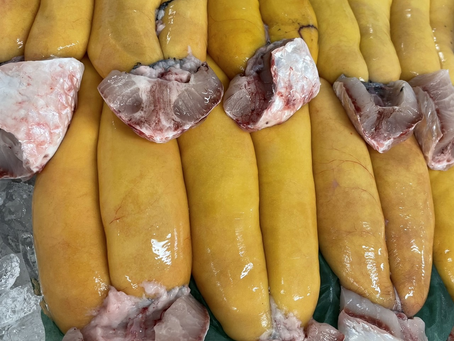 12/3　本日のおすすめ