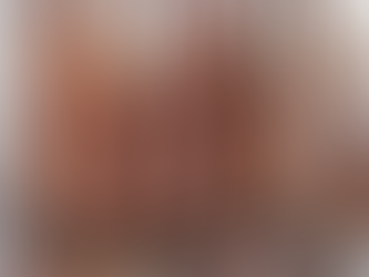 11/13　本日のおすすめ